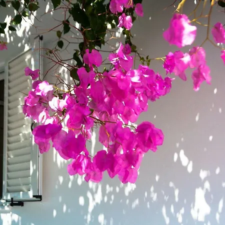 Сasa de vacaciones Felicia's Sun-side House Kastrákion