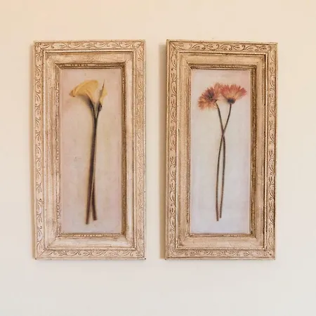 Felicia's Sun-side House *