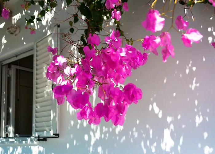 Holiday home Felicia's Sun-side House Kastraki (Naxos)