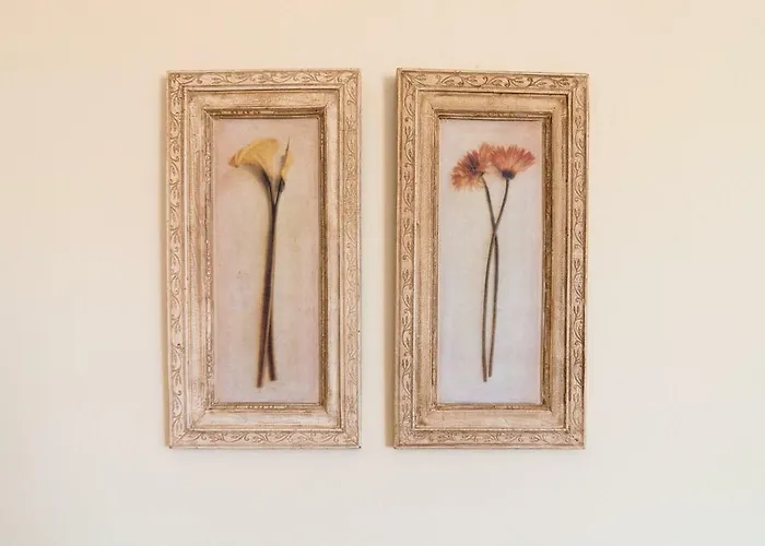 Felicia's Sun-side House *